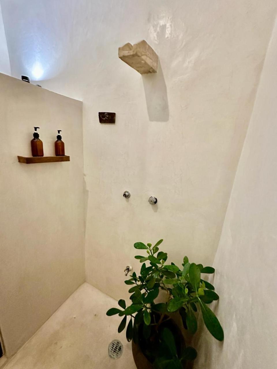 Casa Silice Guesthouse 巴利亚多利德 外观 照片